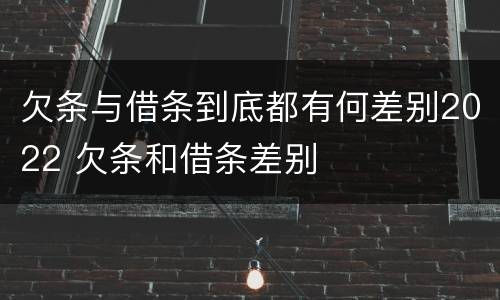 欠条与借条到底都有何差别2022 欠条和借条差别