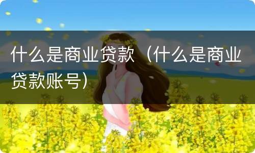 什么是商业贷款（什么是商业贷款账号）