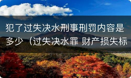 犯了过失决水刑事刑罚内容是多少（过失决水罪 财产损失标准）
