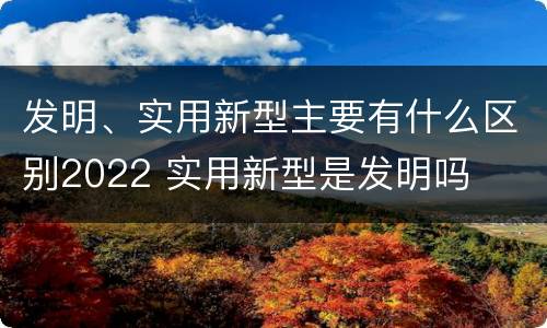 发明、实用新型主要有什么区别2022 实用新型是发明吗