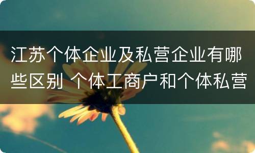 江苏个体企业及私营企业有哪些区别 个体工商户和个体私营企业的区别