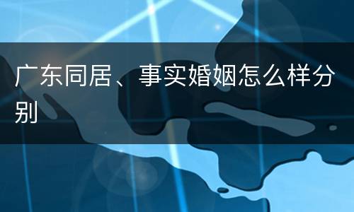 广东同居、事实婚姻怎么样分别