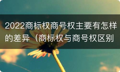 2022商标权商号权主要有怎样的差异（商标权与商号权区别）