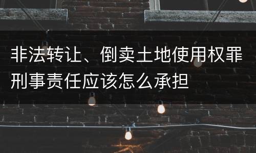 非法转让、倒卖土地使用权罪刑事责任应该怎么承担