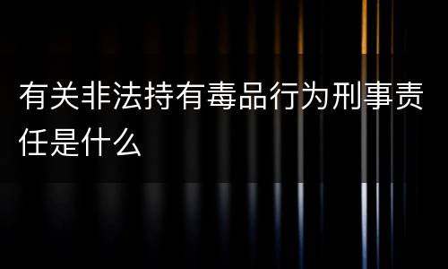 有关非法持有毒品行为刑事责任是什么