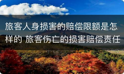 旅客人身损害的赔偿限额是怎样的 旅客伤亡的损害赔偿责任