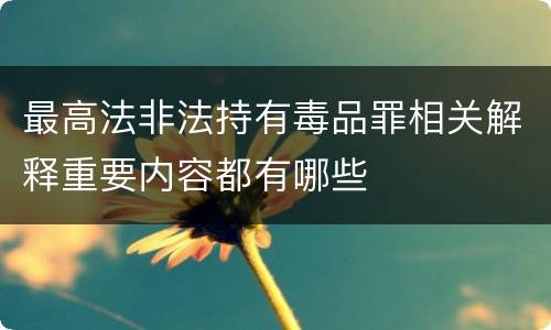最高法非法持有毒品罪相关解释重要内容都有哪些