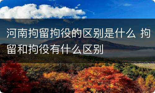 河南拘留拘役的区别是什么 拘留和拘役有什么区别