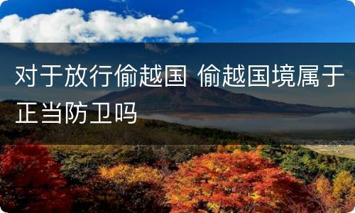 对于放行偷越国 偷越国境属于正当防卫吗