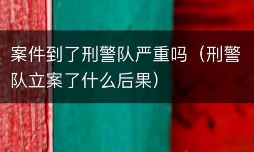 案件到了刑警队严重吗（刑警队立案了什么后果）