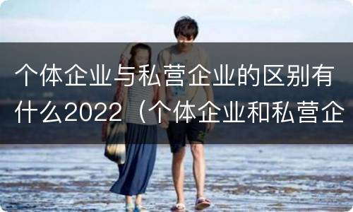 个体企业与私营企业的区别有什么2022（个体企业和私营企业有什么区别）