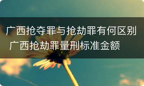 广西抢夺罪与抢劫罪有何区别 广西抢劫罪量刑标准金额