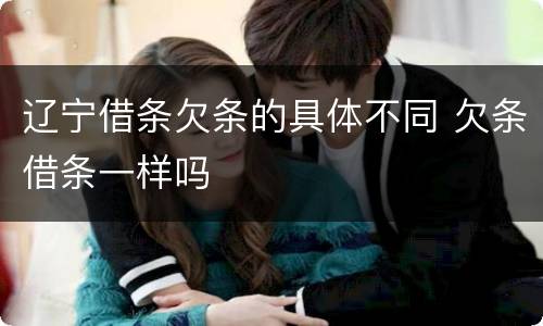 辽宁借条欠条的具体不同 欠条借条一样吗