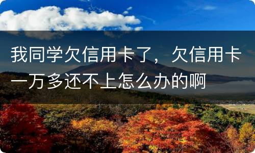 我同学欠信用卡了，欠信用卡一万多还不上怎么办的啊