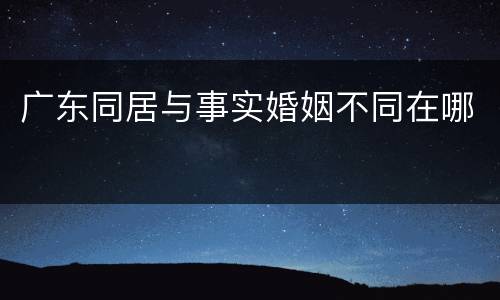 广东同居与事实婚姻不同在哪