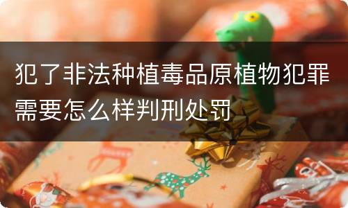 犯了非法种植毒品原植物犯罪需要怎么样判刑处罚