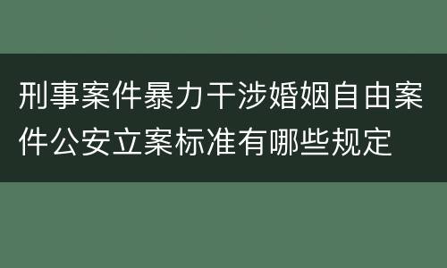 刑事案件暴力干涉婚姻自由案件公安立案标准有哪些规定