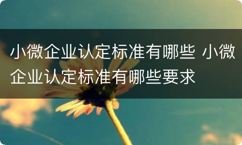 小微企业认定标准有哪些 小微企业认定标准有哪些要求