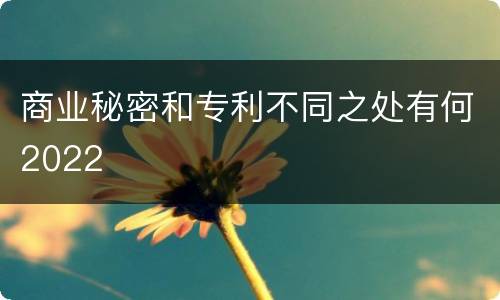 商业秘密和专利不同之处有何2022