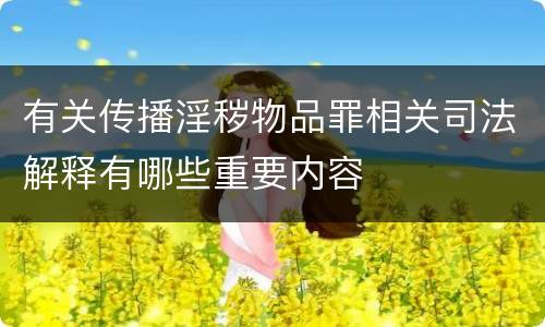 有关传播淫秽物品罪相关司法解释有哪些重要内容