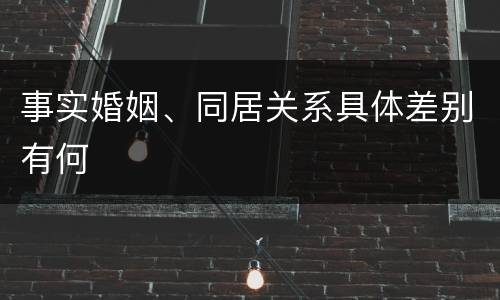 事实婚姻、同居关系具体差别有何