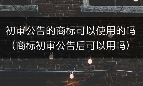 初审公告的商标可以使用的吗（商标初审公告后可以用吗）