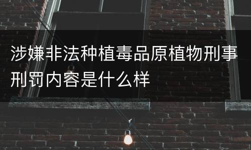 涉嫌非法种植毒品原植物刑事刑罚内容是什么样