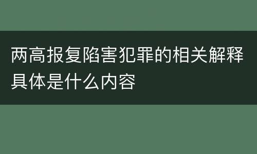 两高报复陷害犯罪的相关解释具体是什么内容