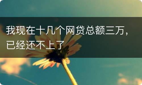 我现在十几个网贷总额三万，已经还不上了