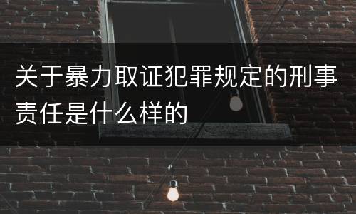 关于暴力取证犯罪规定的刑事责任是什么样的