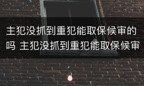 主犯没抓到重犯能取保候审的吗 主犯没抓到重犯能取保候审的吗怎么处理