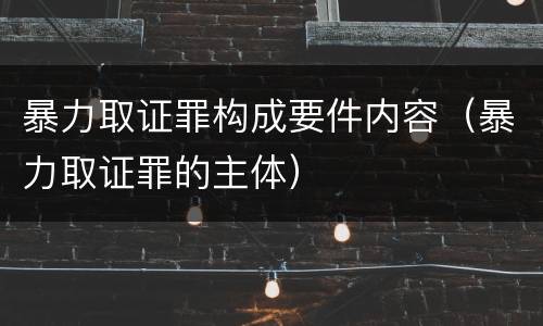 暴力取证罪构成要件内容（暴力取证罪的主体）