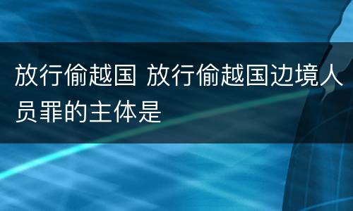 放行偷越国 放行偷越国边境人员罪的主体是