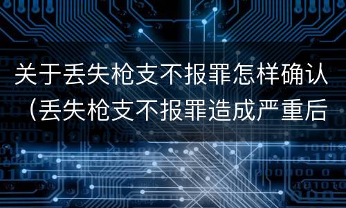 关于丢失枪支不报罪怎样确认（丢失枪支不报罪造成严重后果）