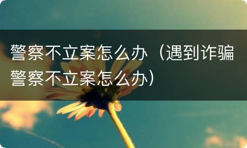 警察不立案怎么办（遇到诈骗警察不立案怎么办）