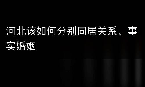 河北该如何分别同居关系、事实婚姻