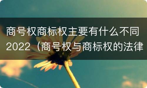 商号权商标权主要有什么不同2022(商号权与商标权的法律冲突与解决)