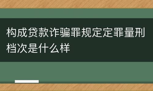 构成贷款诈骗罪规定定罪量刑档次是什么样