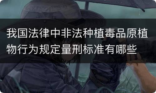 我国法律中非法种植毒品原植物行为规定量刑标准有哪些