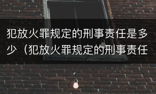 犯放火罪规定的刑事责任是多少(犯放火罪规定的刑事责任是多少条)