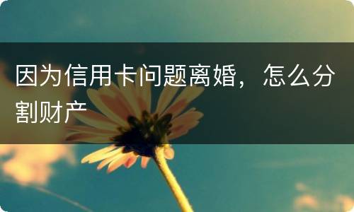 因为信用卡问题离婚，怎么分割财产