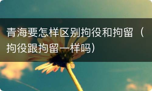 青海要怎样区别拘役和拘留（拘役跟拘留一样吗）