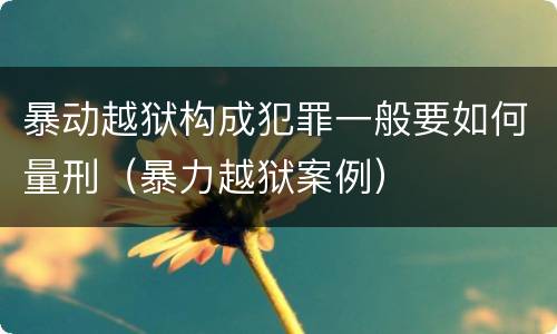 暴动越狱构成犯罪一般要如何量刑（暴力越狱案例）