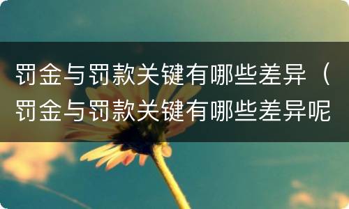 罚金与罚款关键有哪些差异（罚金与罚款关键有哪些差异呢）