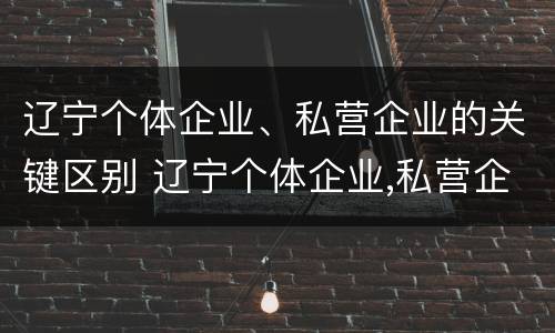 辽宁个体企业、私营企业的关键区别 辽宁个体企业,私营企业的关键区别在于
