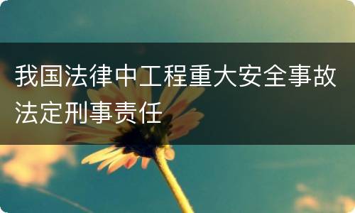 我国法律中工程重大安全事故法定刑事责任