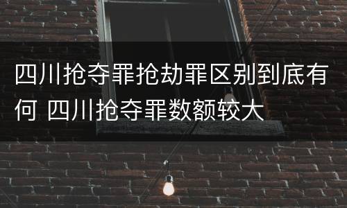 四川抢夺罪抢劫罪区别到底有何 四川抢夺罪数额较大