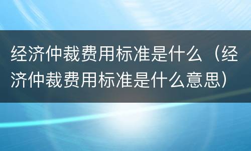 经济仲裁费用标准是什么（经济仲裁费用标准是什么意思）