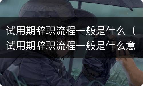 试用期辞职流程一般是什么（试用期辞职流程一般是什么意思）