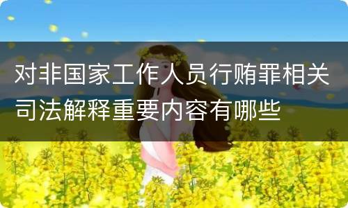 对非国家工作人员行贿罪相关司法解释重要内容有哪些